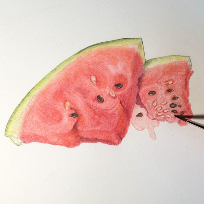 07-2024-watermelon-workshop